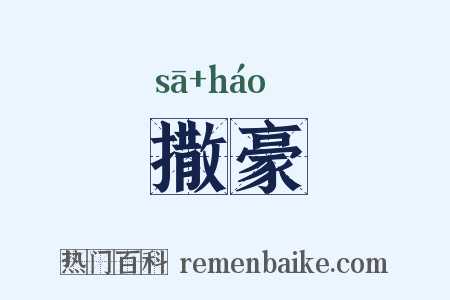 撒豪是什么意思的图片